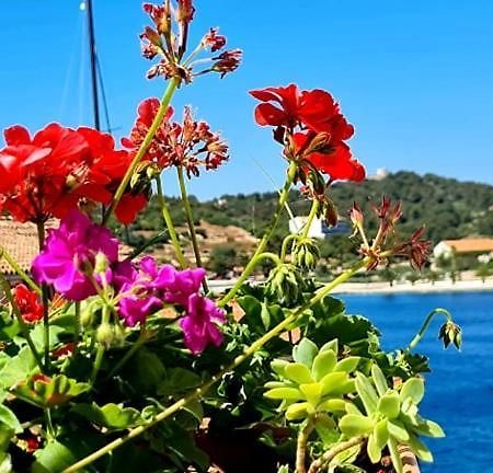 Bed & Breakfast Dionis Vis Esterno foto