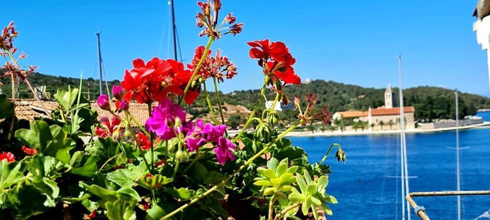 Bed & Breakfast Dionis Vis Esterno foto