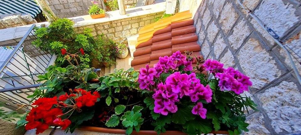 Bed & Breakfast Dionis Vis Esterno foto