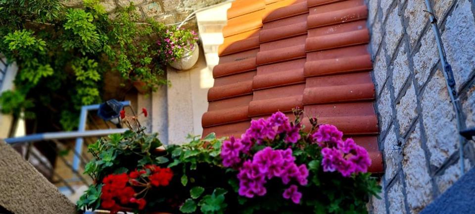 Bed & Breakfast Dionis Vis Esterno foto