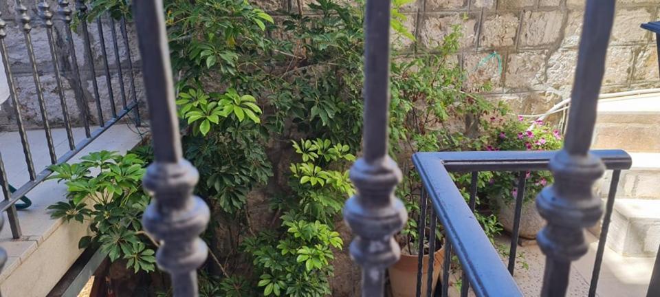 Bed & Breakfast Dionis Vis Esterno foto